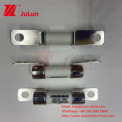 DC750V 10A-100A Boxed EV Fuse для электромобилей системы тяги хранения энергии 25A 30A 50A EV FUSE