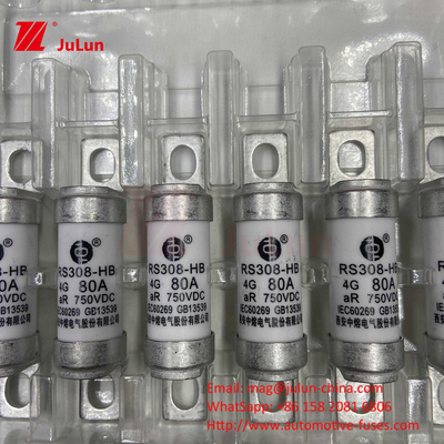 EV Fuse 100A Характеристики Свертка Конструкция 750VDC 10A 25A 50A 63A