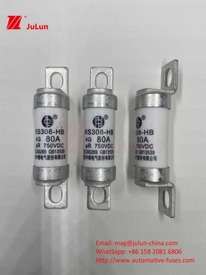 EV Fuse 100A Характеристики Свертка Конструкция 750VDC 10A 25A 50A 63A