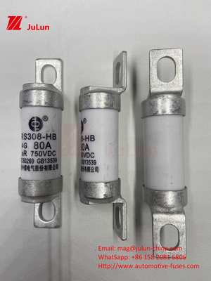 EV Fuse 100A Характеристики Свертка Конструкция 750VDC 10A 25A 50A 63A