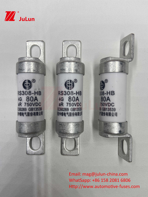 Сцепление для электромобилей RS308 DC750V 10A 15A 20A с отличной устойчивостью к вибрациям 63A
