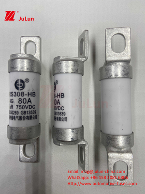 Сцепление для электромобилей RS308 DC750V 10A 15A 20A с отличной устойчивостью к вибрациям 63A