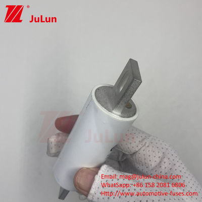 RS309-MM-EV300A Среднее сцепление AC 1000VDC 1000VAC в высоковольтных электрических системах для электромобилей