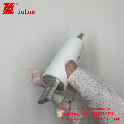 RS309-MM-EV300A Среднее сцепление AC 1000VDC 1000VAC в высоковольтных электрических системах для электромобилей