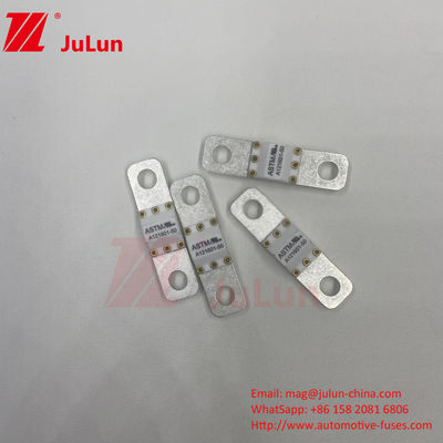 A121601-50A ASTM 125VDC Тип предохранителя для электромобилей