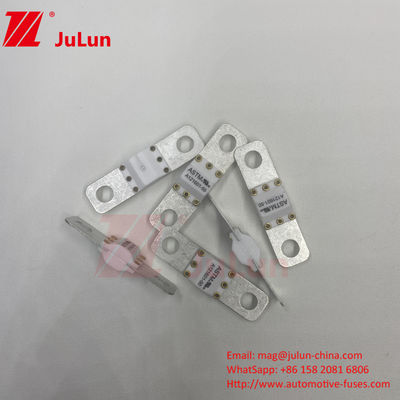 ASTM 300A 125VDC Свинцовый предохранитель A121601 для защиты электромобилей