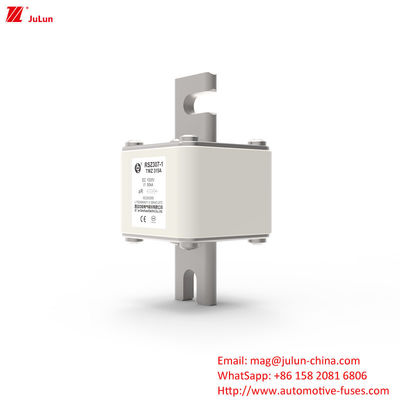 315A DC250V портативный зарядное устройство для электромобилей финал решения для владельцев электромобилей
