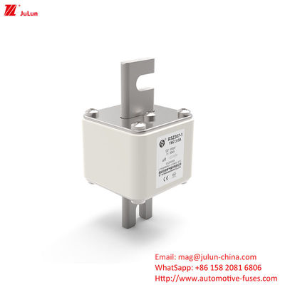 Защитные устройства для электромобилей RSZ307 200A-450A DC250V