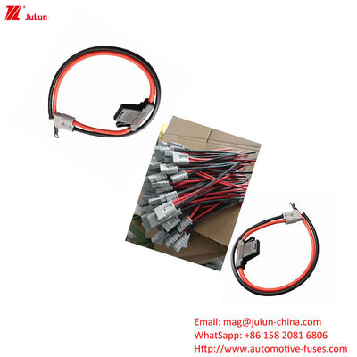 Eu UL Standard New Energy Vehicle Plastic / Nylon Shell Fuse Holder Номинальное напряжение 32 В