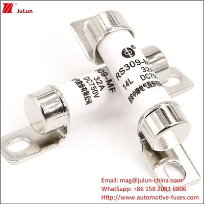 RS309 750VDC 32A 40A Текущее Автомобильное зарядное устройство для аккумуляторов с энергетическим электромобильным предохранителем 750VDC