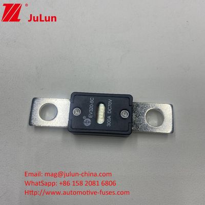 EV320-5C 175A 70VDC SINOFUSE Керамические автомобильные предохранители Малый размер Высокий номинальный ток 70VDC Номинальное напряжение