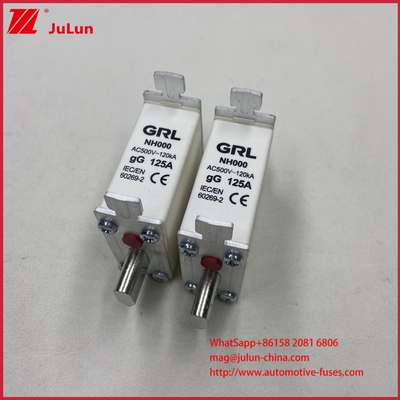 225A 160A 125A NT000/NH000 125A плавкий предохранитель/держатель Пластинчатый предохранитель Керамический фарфоровый предохранитель База