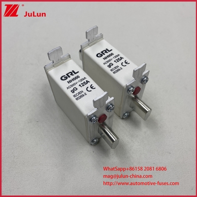 225A 160A 125A NT000/NH000 125A плавкий предохранитель/держатель Пластинчатый предохранитель Керамический фарфоровый предохранитель База