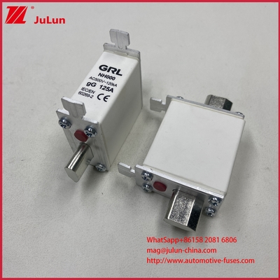 225A 160A 125A NT000/NH000 125A плавкий предохранитель/держатель Пластинчатый предохранитель Керамический фарфоровый предохранитель База