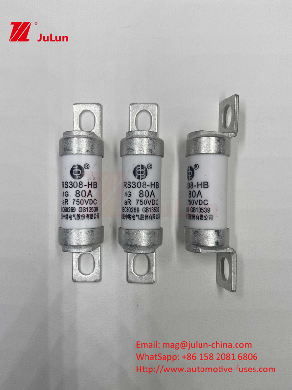 Сжигатель электромобилей для электромобилей для DC750V Сжигатель DC750V 10A 15A 20A 25A 30A Для автомобильных применений RS308