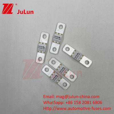 ASTM FUSE 121601 80A 125VDC Электромобильный предохранитель