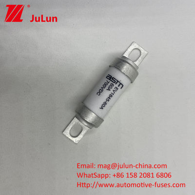 ASTM EV1845 150A Выходной электромобильный предохранитель 10kA Мощность разрыва Шруб M8 M6 Монтаж
