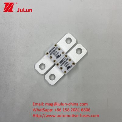 ASTM A202008 Керамические автомобильные предохранители 300A 125VDC 20KA